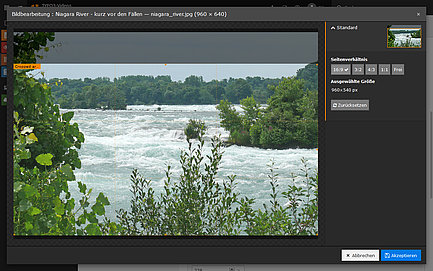 view of the TYPO3 backend: crop images